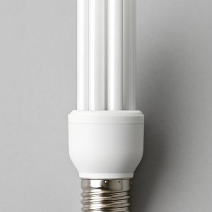 Bombilla Fluorescente (copia)